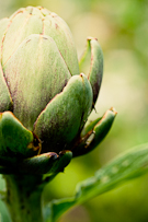 food and drink collection