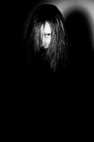 portraits collection